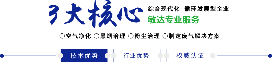 大美女骚逼敏达环保科技（嘉兴）有限公司